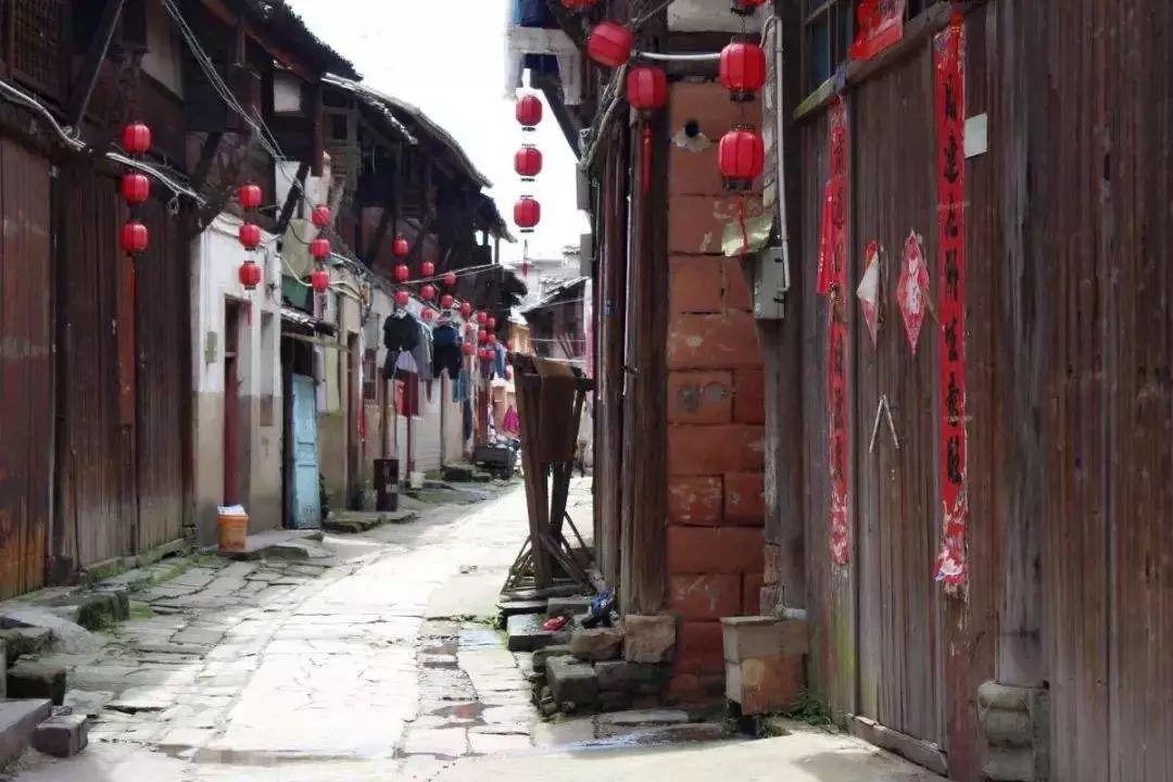 精灵的冒险之旅